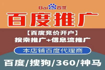竞价排名在电商行业的实战案例